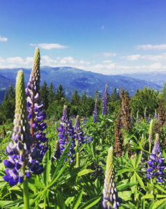 Perfektionismus, nein danke! Mut zum Unperfekten