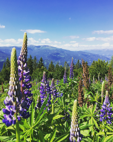 Perfektionismus, nein danke! Mut zum Unperfekten